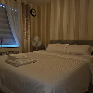 Comfortable Short In Homestay